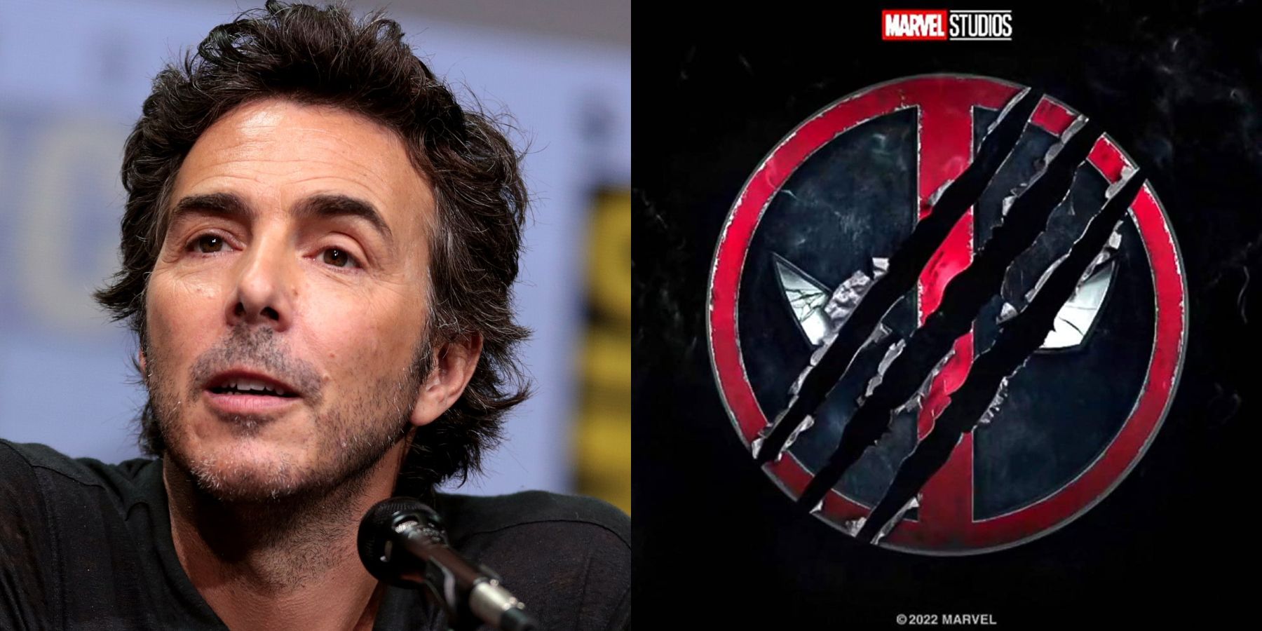 Deadpool 3 Shawn Levy Comments