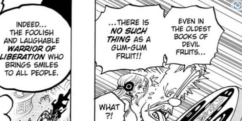 Devil fruits one piece 1069