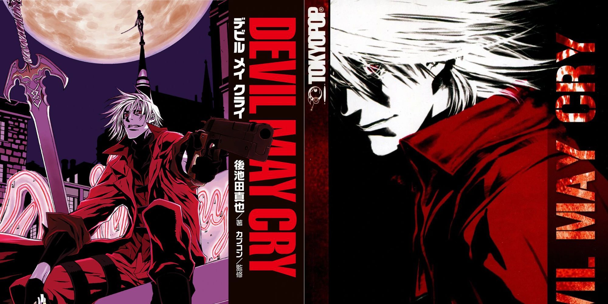 Devil May Cry light novel in both English and Japanese
