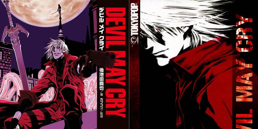Devil May Cry light novel of both English & Japanese
