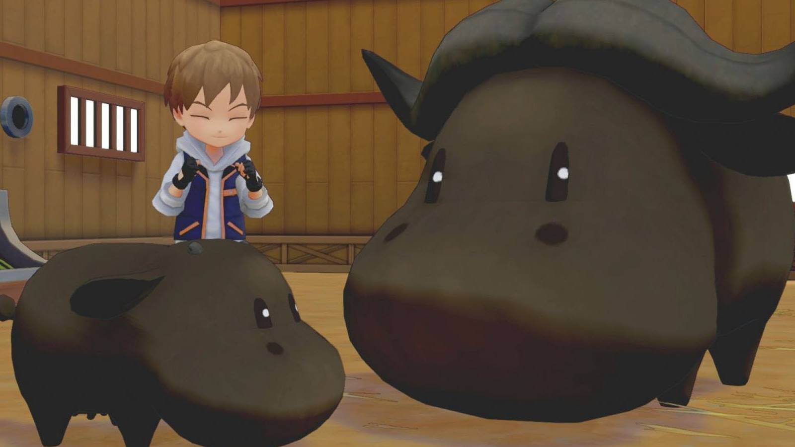 Featured - Story of Seasons Pioneers of Olive Town Best Farm Layout