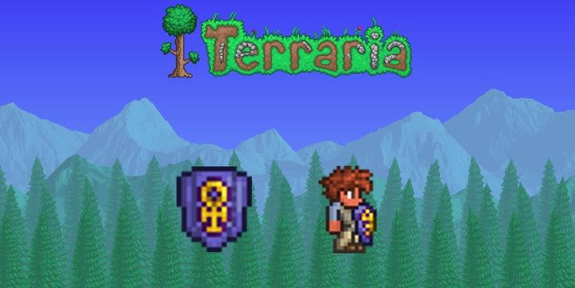 Terraria, Ankh Shield