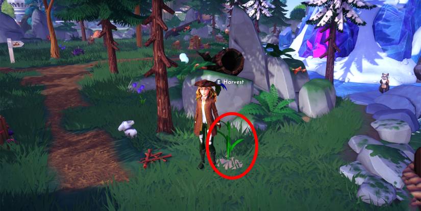 garlic location in disney dreamlight valley