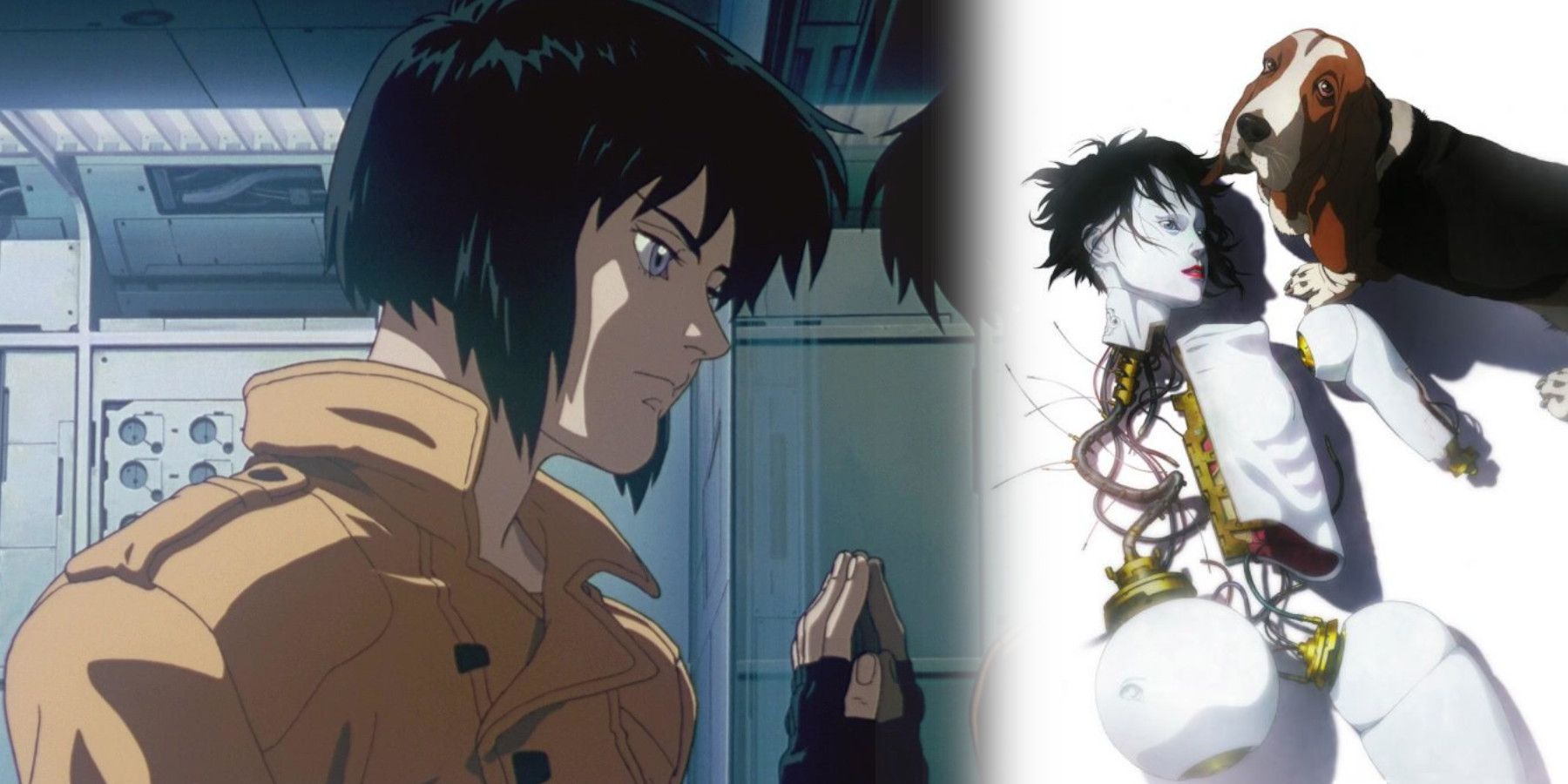 Ghost In The Shell Major Development Featured 