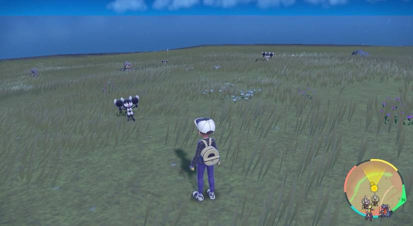 Gothorita Near Alfornada