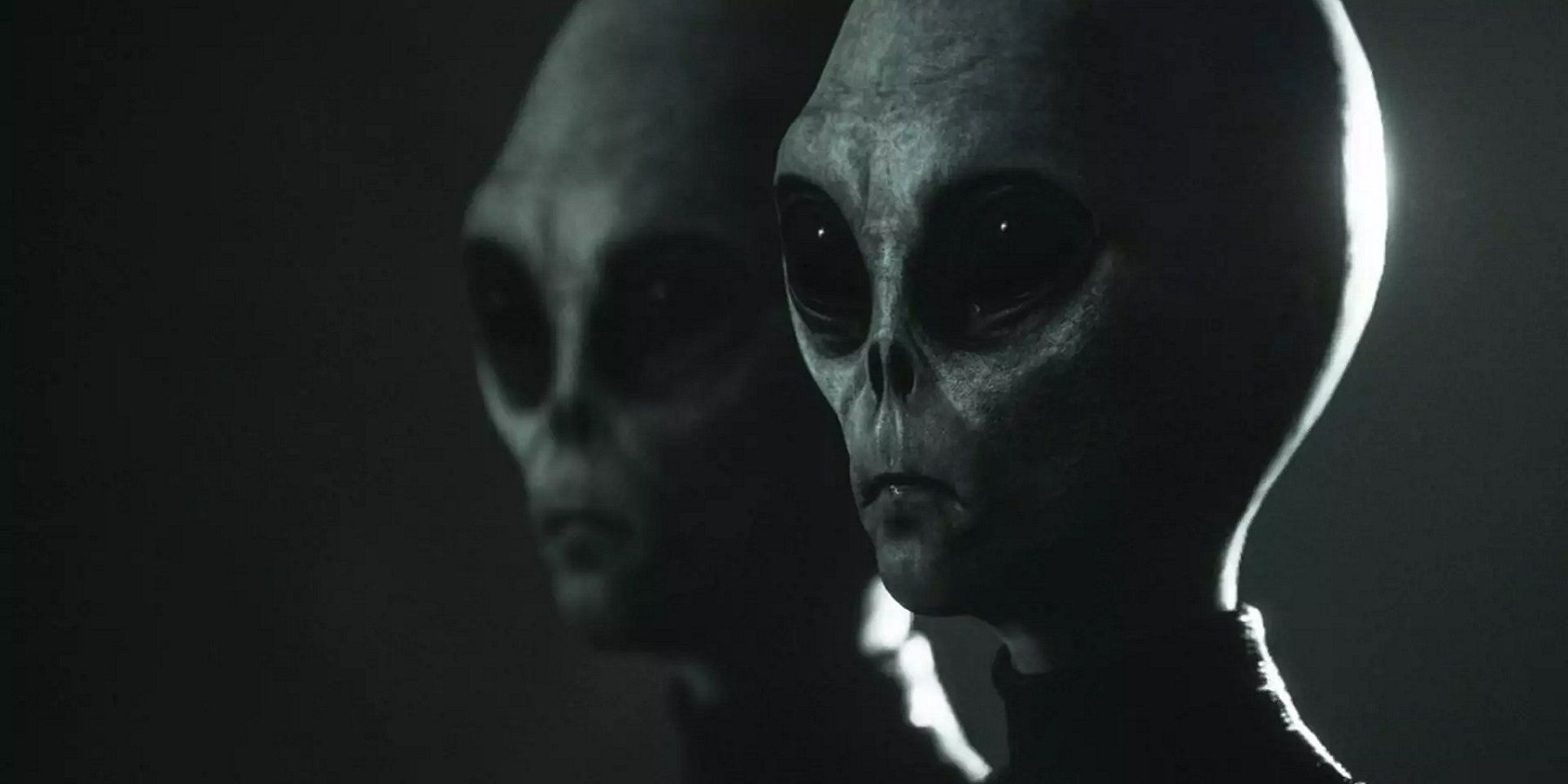 Image from upcoming indie horror game Greyhill Incident showing a couple of alien faces close-up.