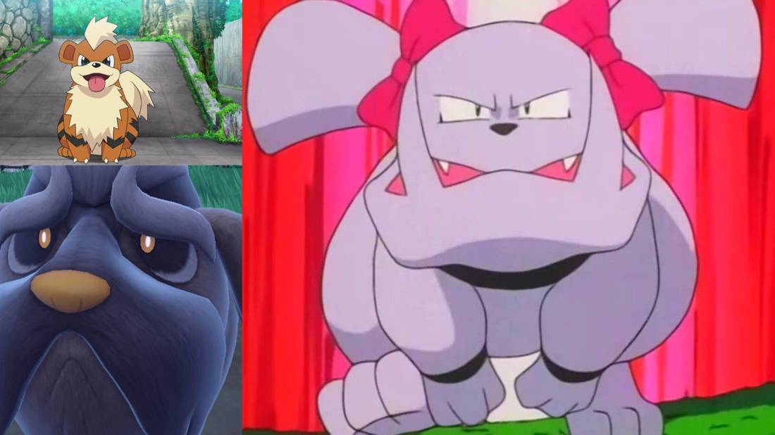 Lithe Dog All the Pokemon Based on Dogs