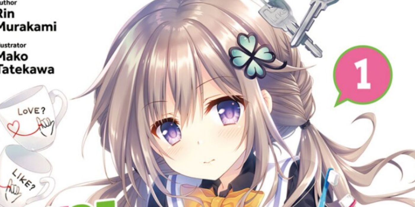 Best Romance Light Novels With No Anime Adaptations