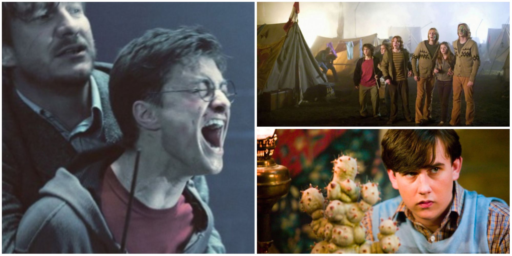 Harry Potter Best Book Scenes Missing From The Movies, Harry, Lupin, Neville and The Weasleys