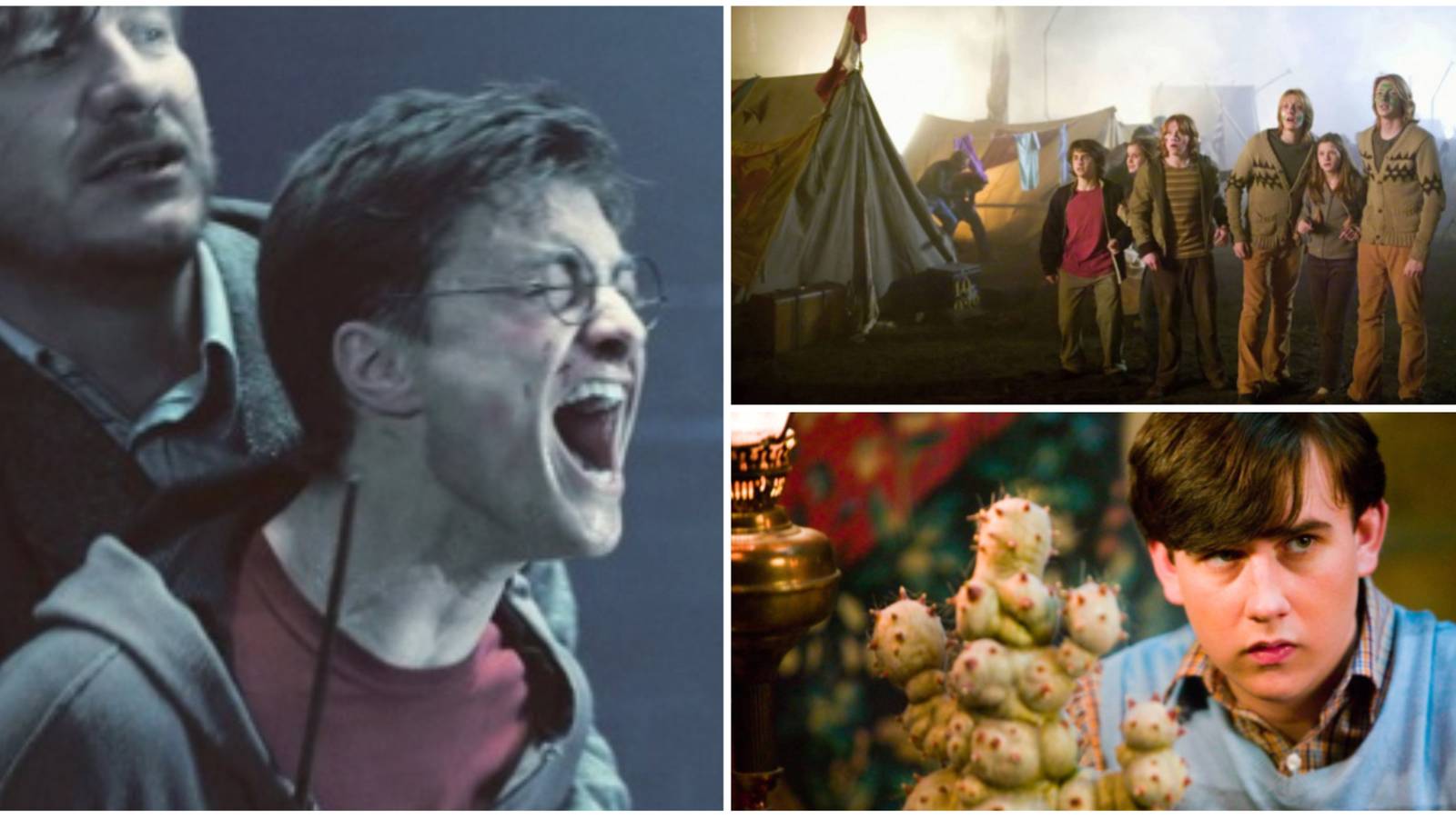 Harry Potter Best Book Scenes Missing From The Movies, Harry, Lupin, Neville and The Weasleys