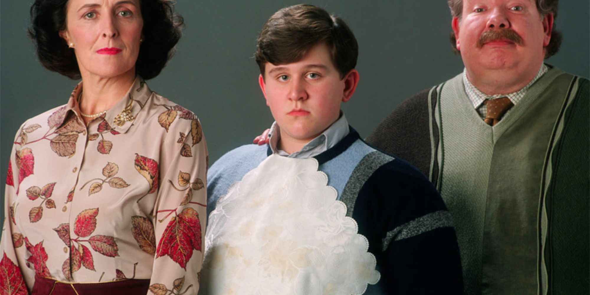 Harry Potter Dudley Dursley and family