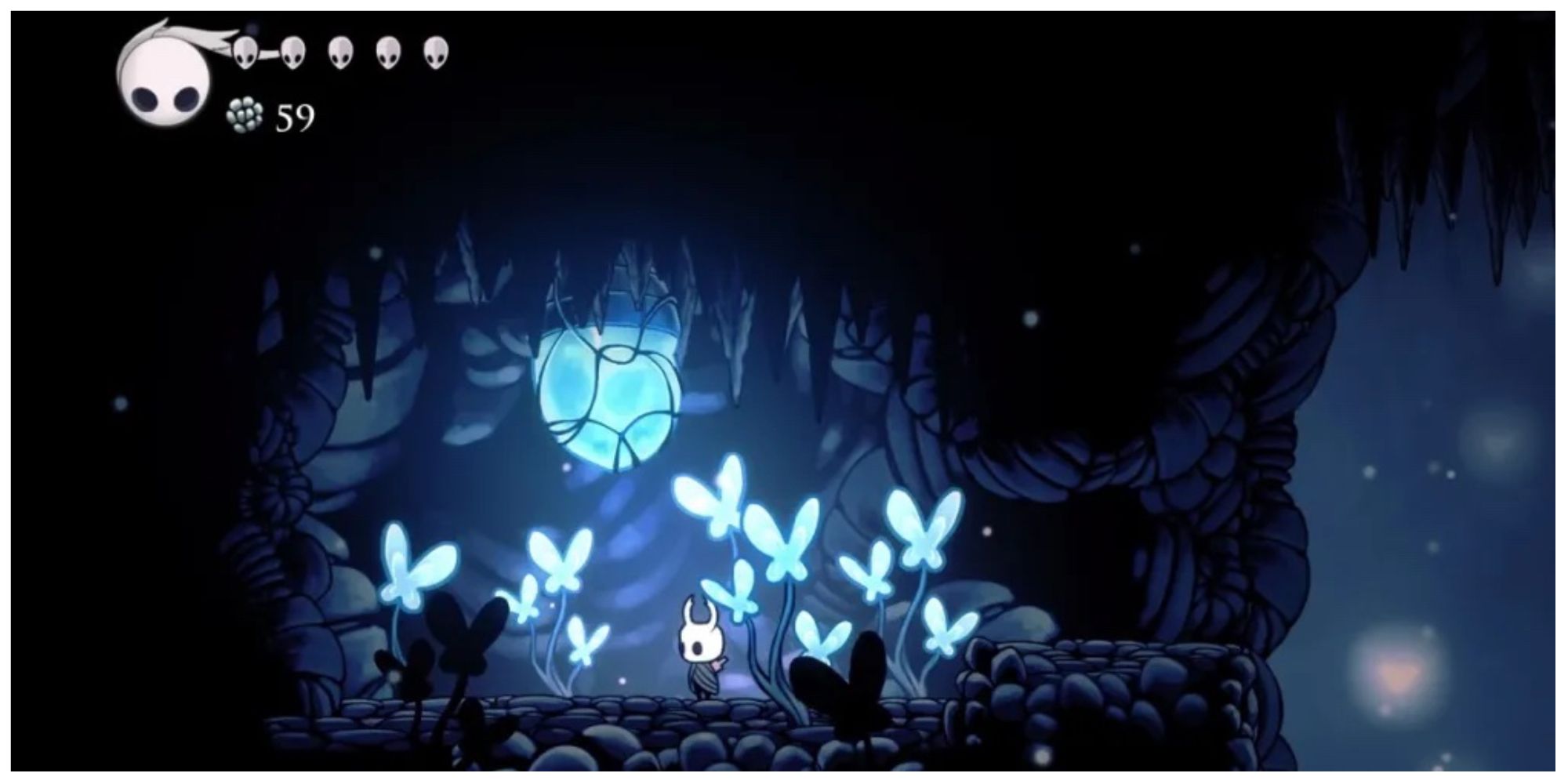 the Knight with a Lifeblood Cocoon in Hollow Knight