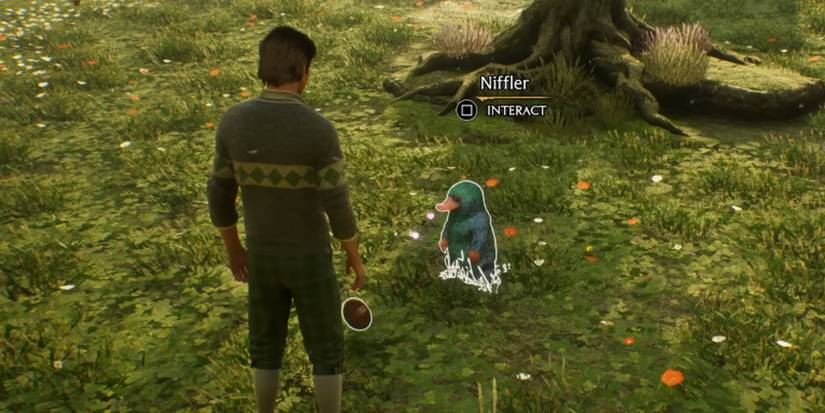 hogwarts legacy fantastic beasts niffler room of requirement vivarium