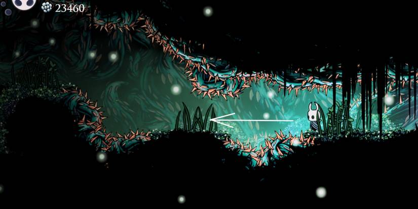 Hollow-Knight-Delicate-Flower-End-1