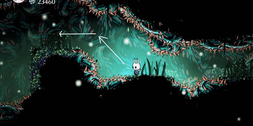 Hollow-Knight-Delicate-Flower-End-2