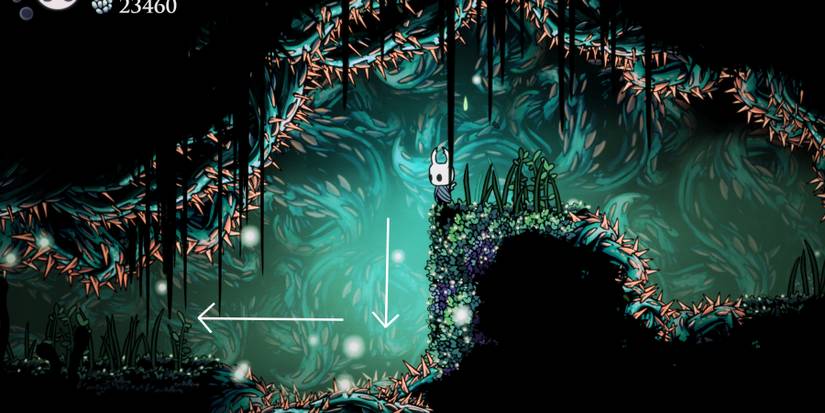 Hollow-Knight-Delicate-Flower-End-3