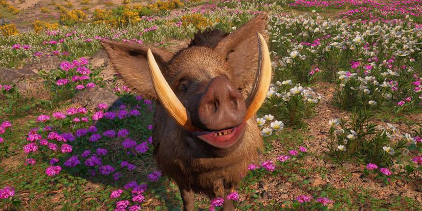 horatio in far cry new dawn