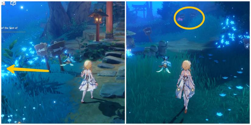 how to get the fan in genshin impact