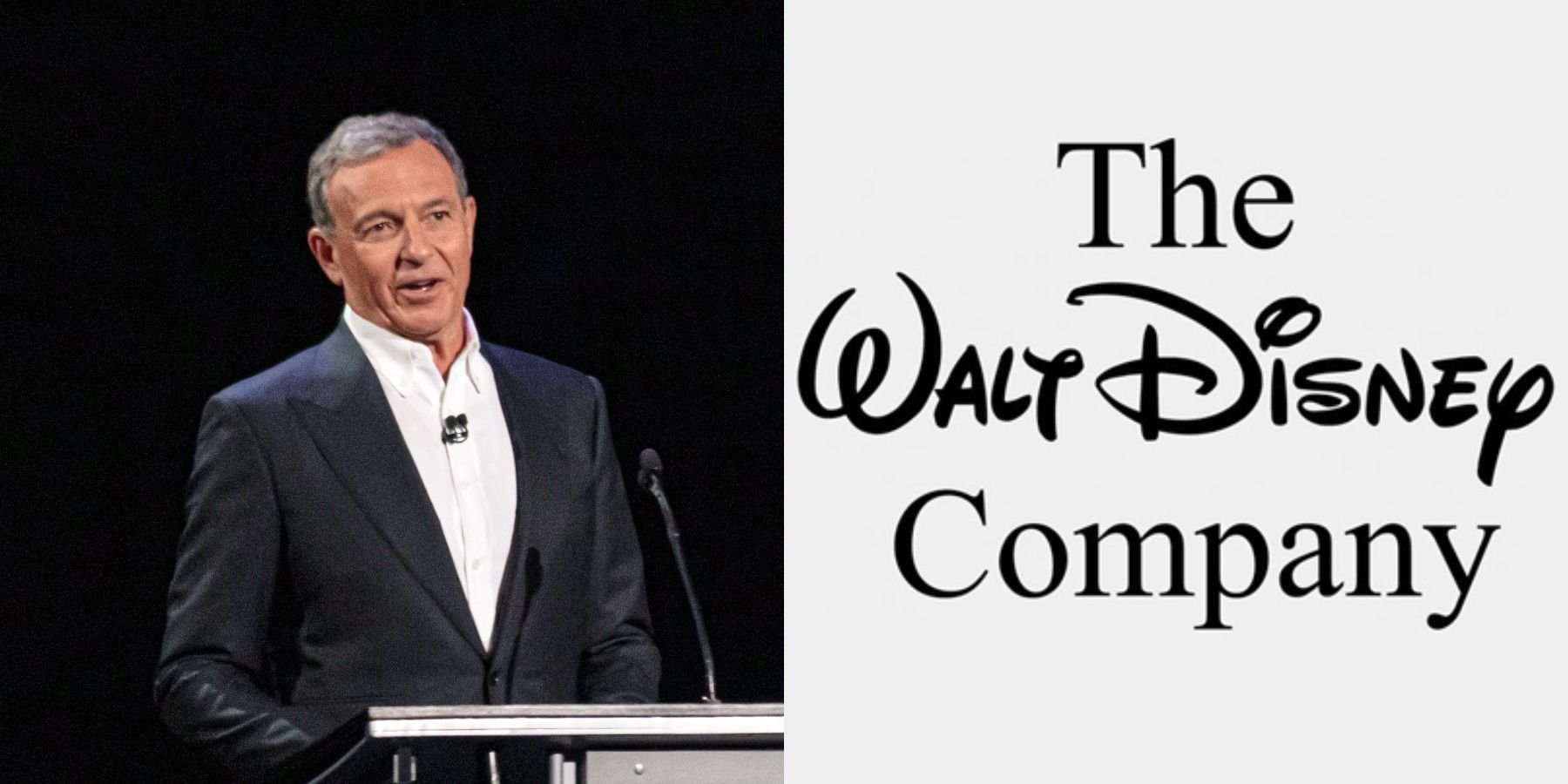 Bob Iger Says Walt Disney Company Has No Plans To Acquire More Assets