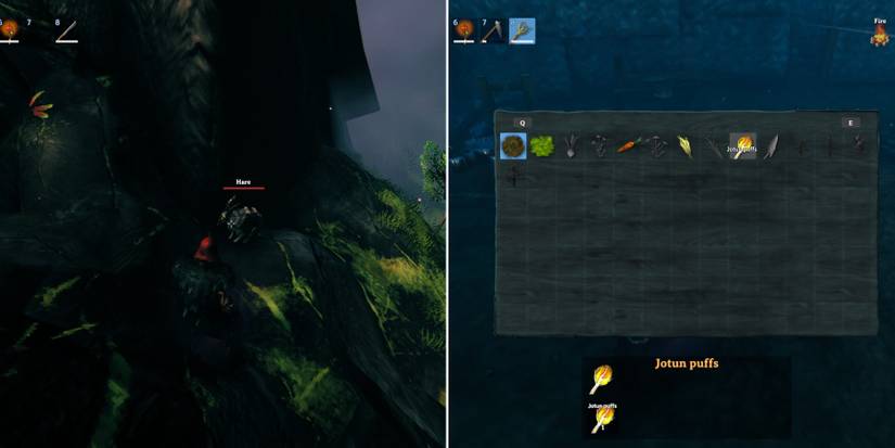 ingredients in valheim jotun puffs hare