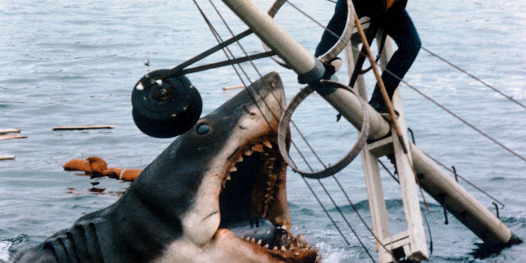 Steven Spielberg Jaws Shark Hunting