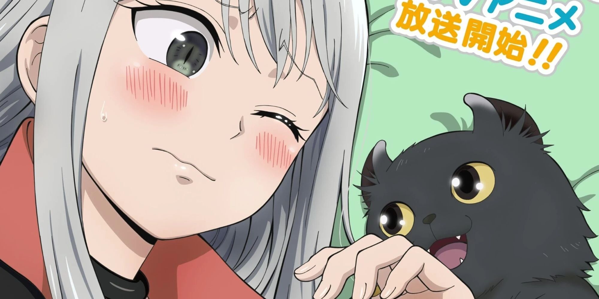 Screenshot of a while haired anime girl with a black cat