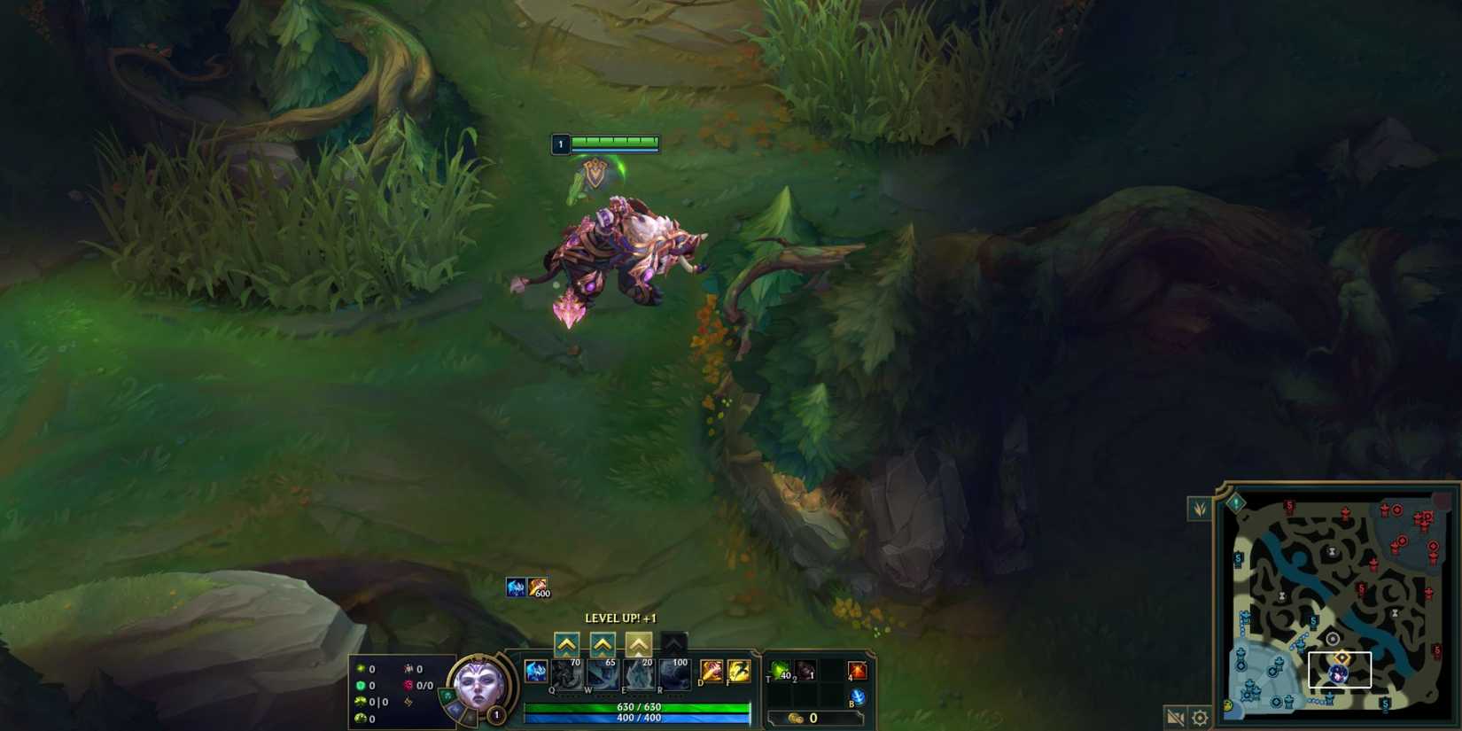 League of Legends Jungle Pathing Suggestions