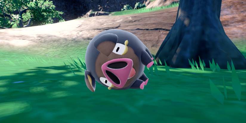 Lechonk on his side in Pokemon Scarlet and Violet