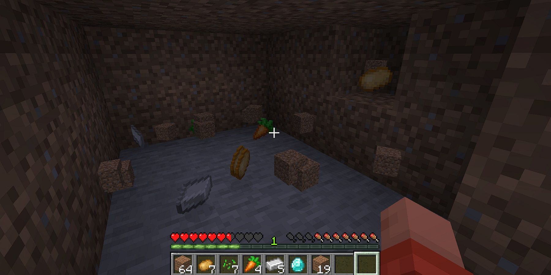 Screenshot from Minecraft showing a series of items on the ground waiting to be collected.
