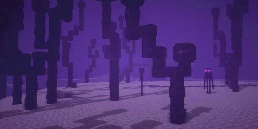minecraft-end