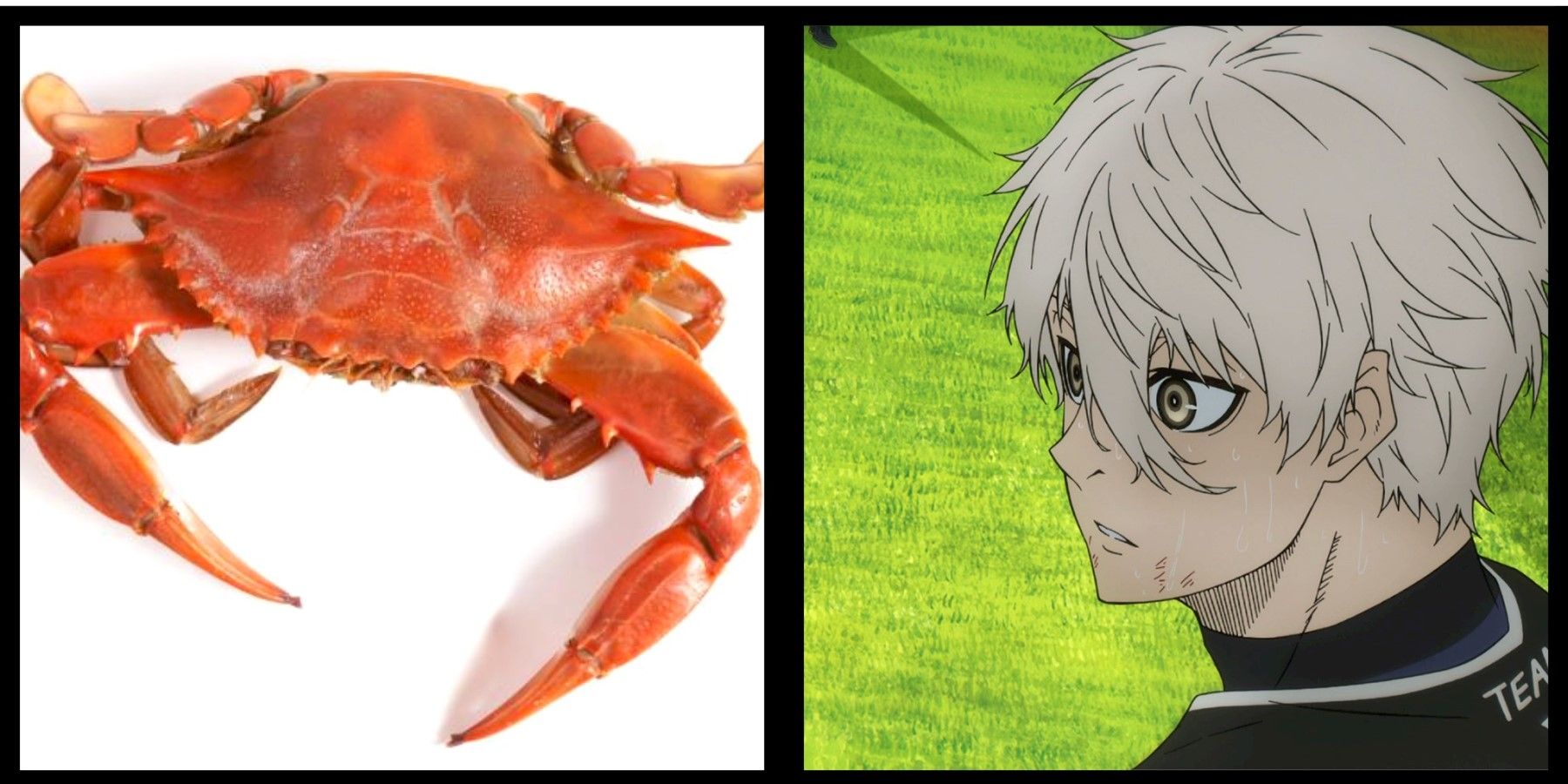 Crab on the left, Nagi Seishiro on the right