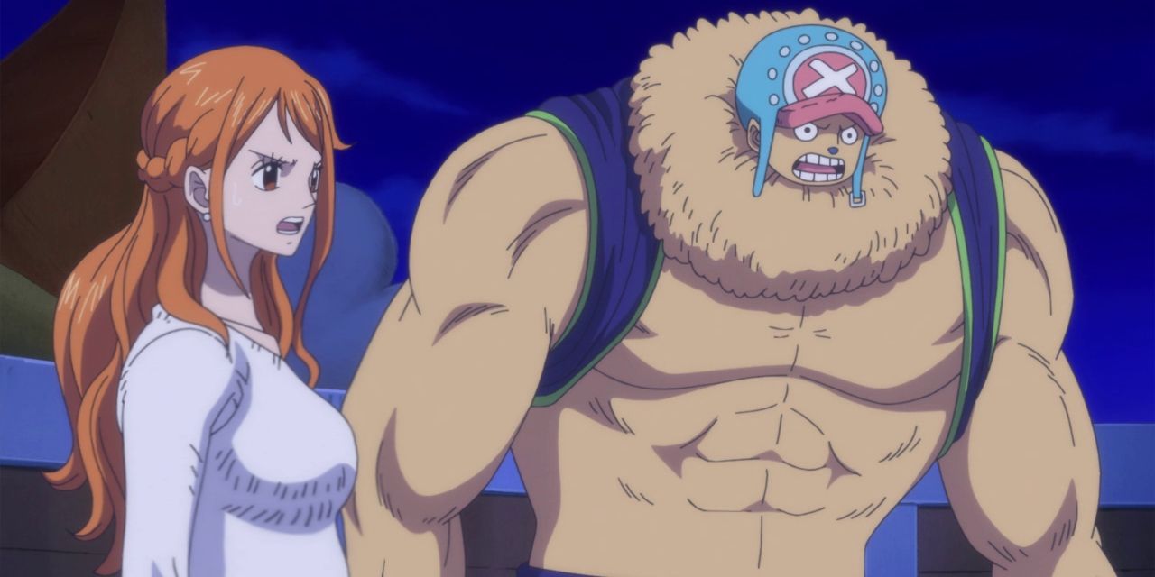 Nami and Chopper from One Piece anime