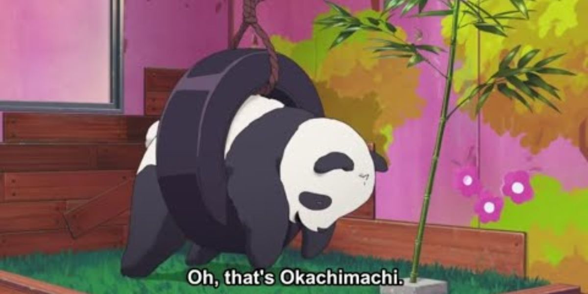 okachimachi 