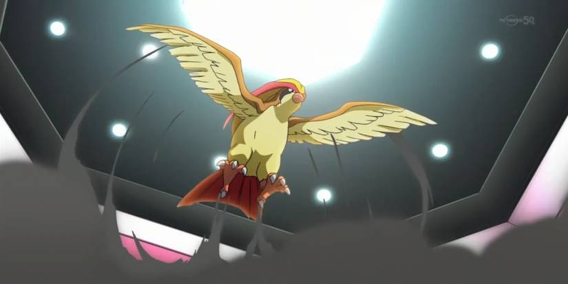 PidgeotAnime