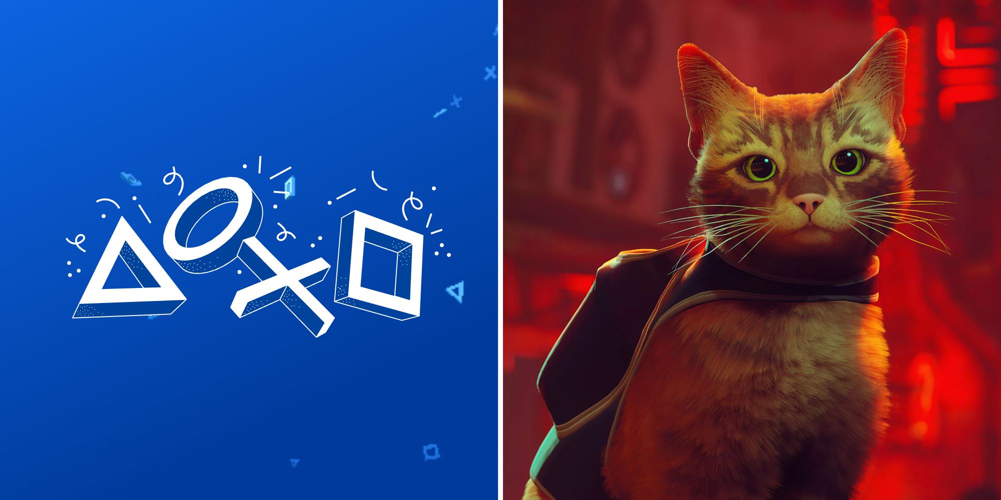 The PlayStation Wrap-Up logo and the cat from Stray