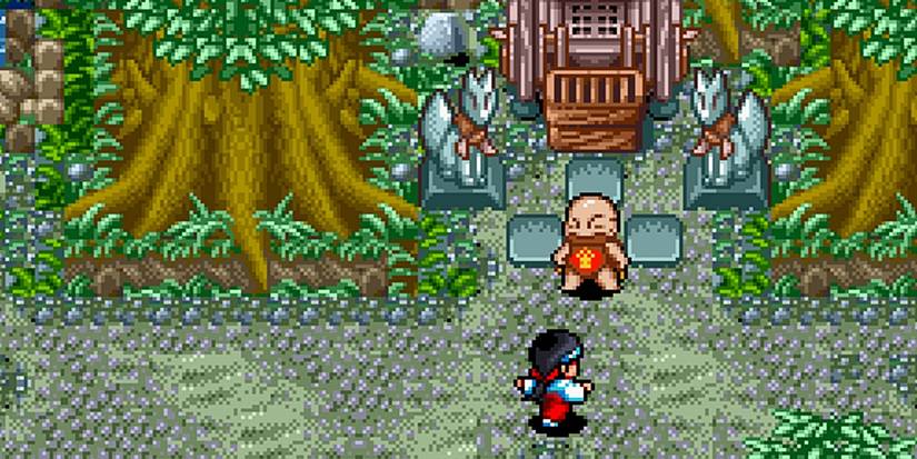 Pocky and Rocky 2 fighters in the woods near temple entrance