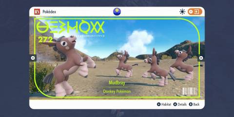 Mudbray From Pokemon Scarlet & Violet