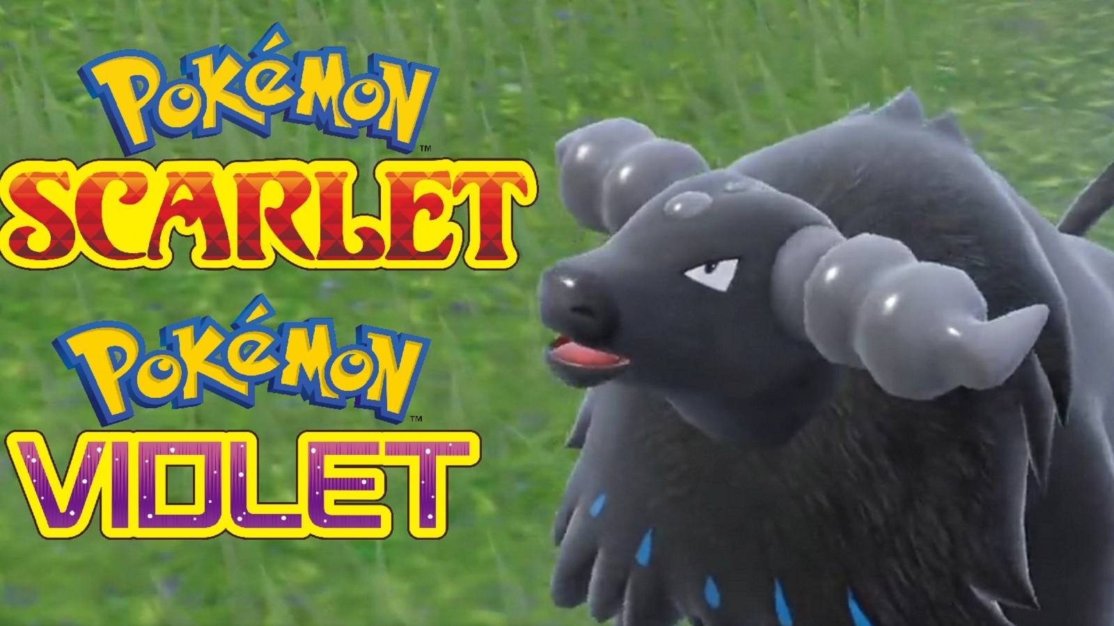 pokemon scarlet and violet water tauros