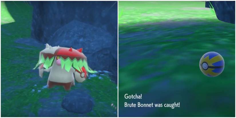 Pokemon Scarlet Brute Bonnet Catching Brute Bonnet