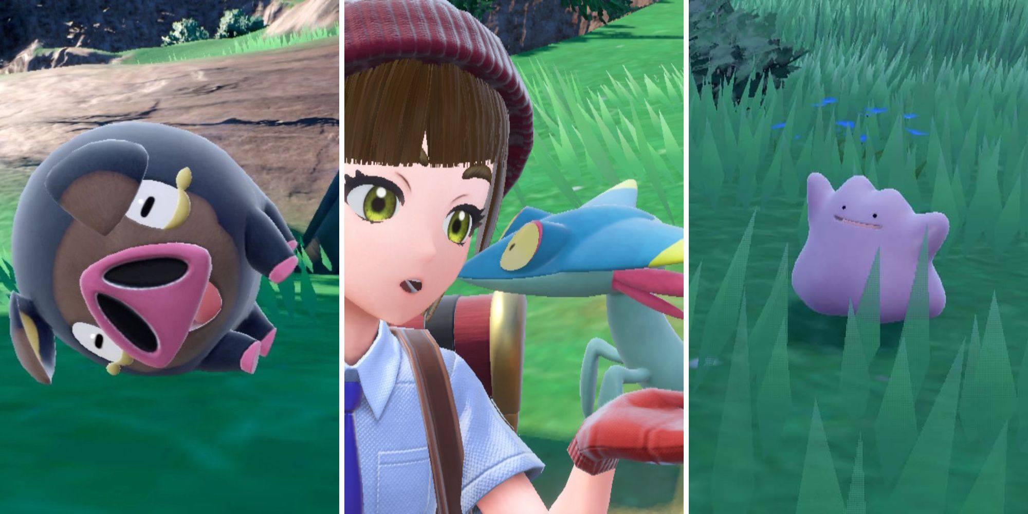 Three images showing three different pokemon in Pokemon Scarlet & Violet