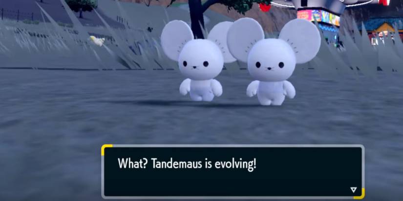 Pokemon Scarlet & Violet Tandemaus Evolution