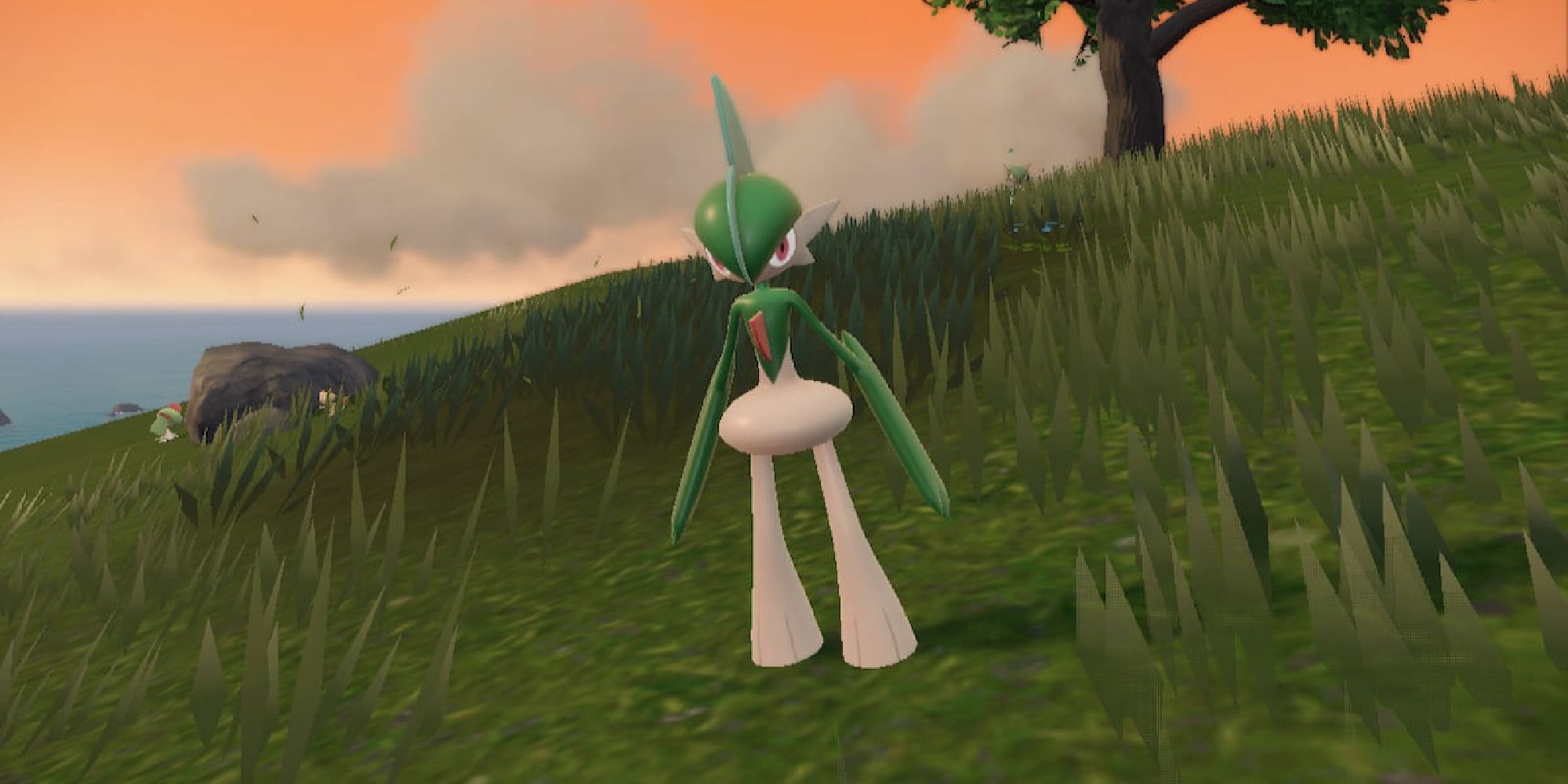 A wild Gallade appearing at sunset in Scarlet/Violet