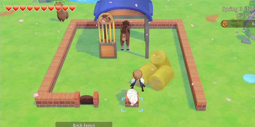 Putting fences around a section of the farm