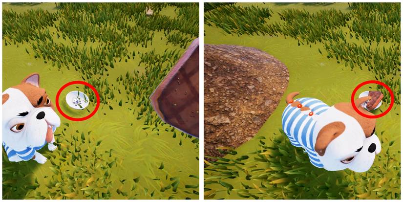 putting the meat in skipper's bowl in hello neighbor 2