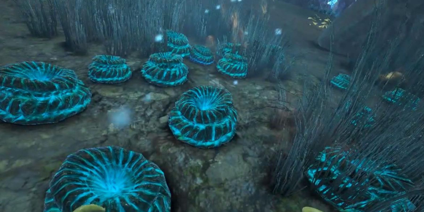 ARK Survival Evolved How To Prevent & Get Rid Of Diseases