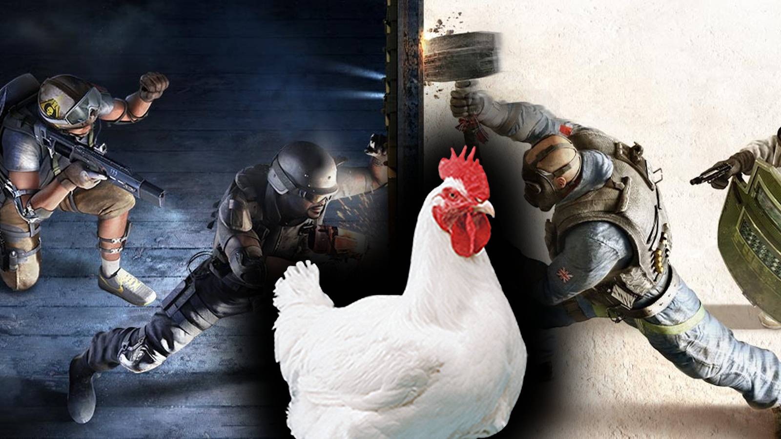 rainbow six siege cover art chicken