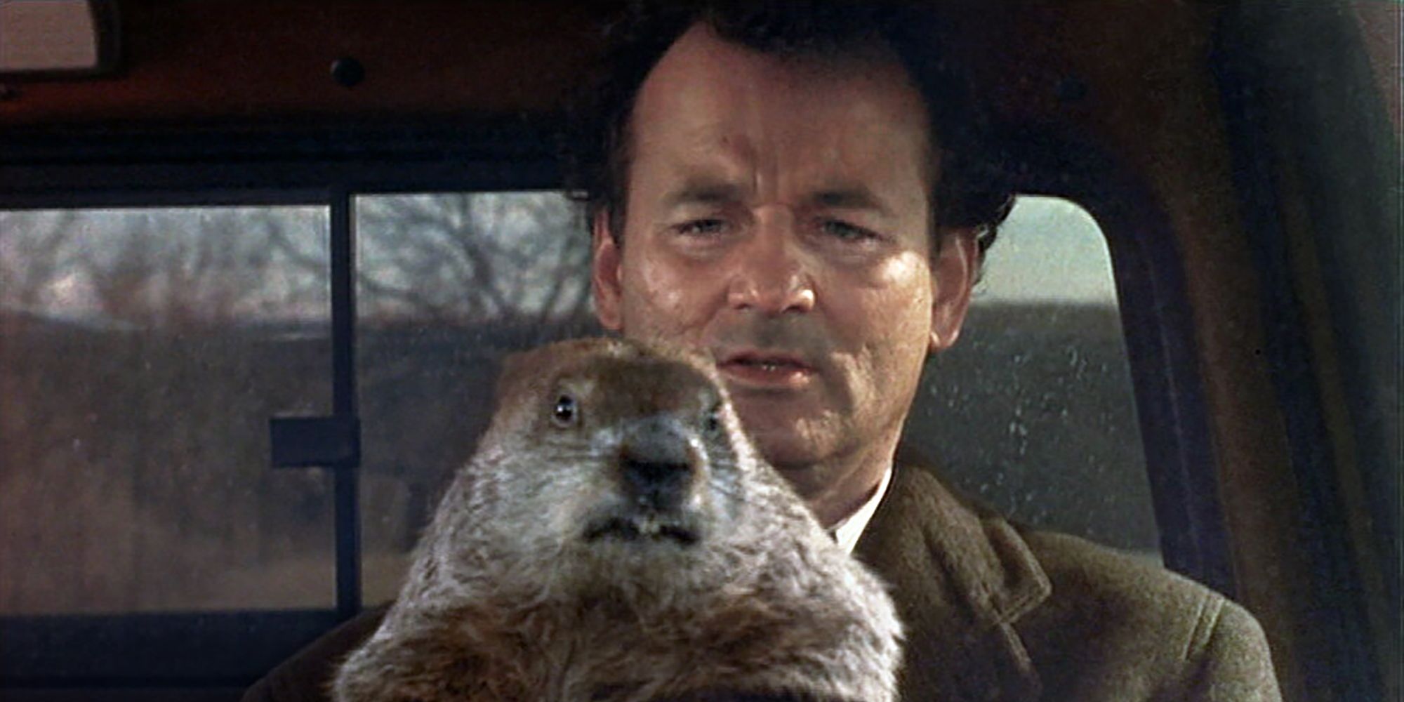 An Image From Groundhog Day