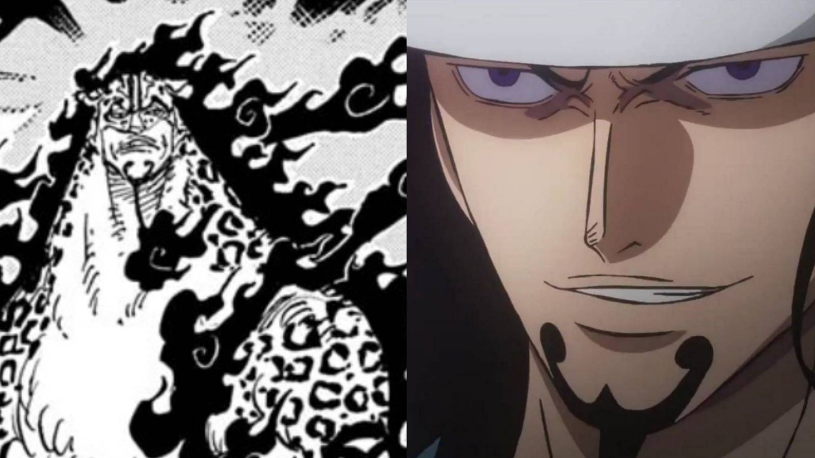 rob lucci