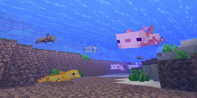 minecraft-axolotl