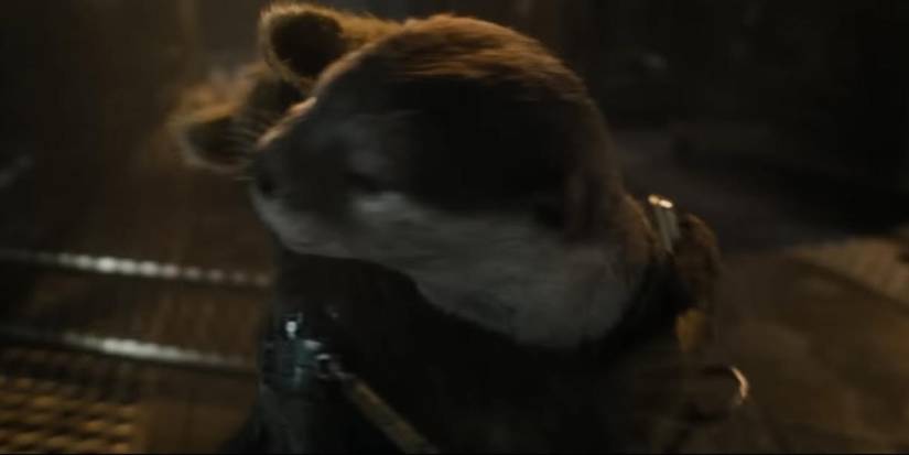 rocket hugging lylla in guardians of the galaxy 3